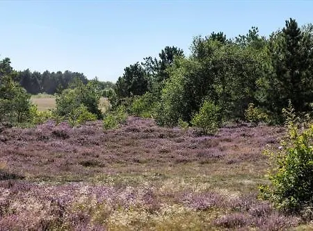 Prázdninový dům 84168-ebeltoft-skonnertvej-17 Ebeltoft