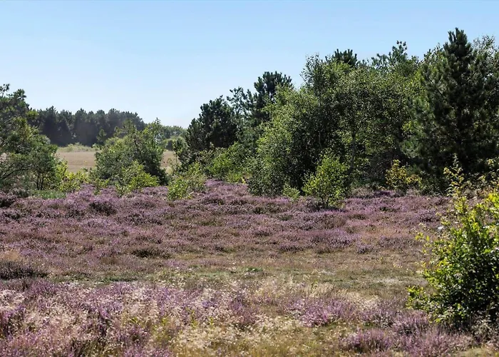 84168-ebeltoft-skonnertvej-17 *